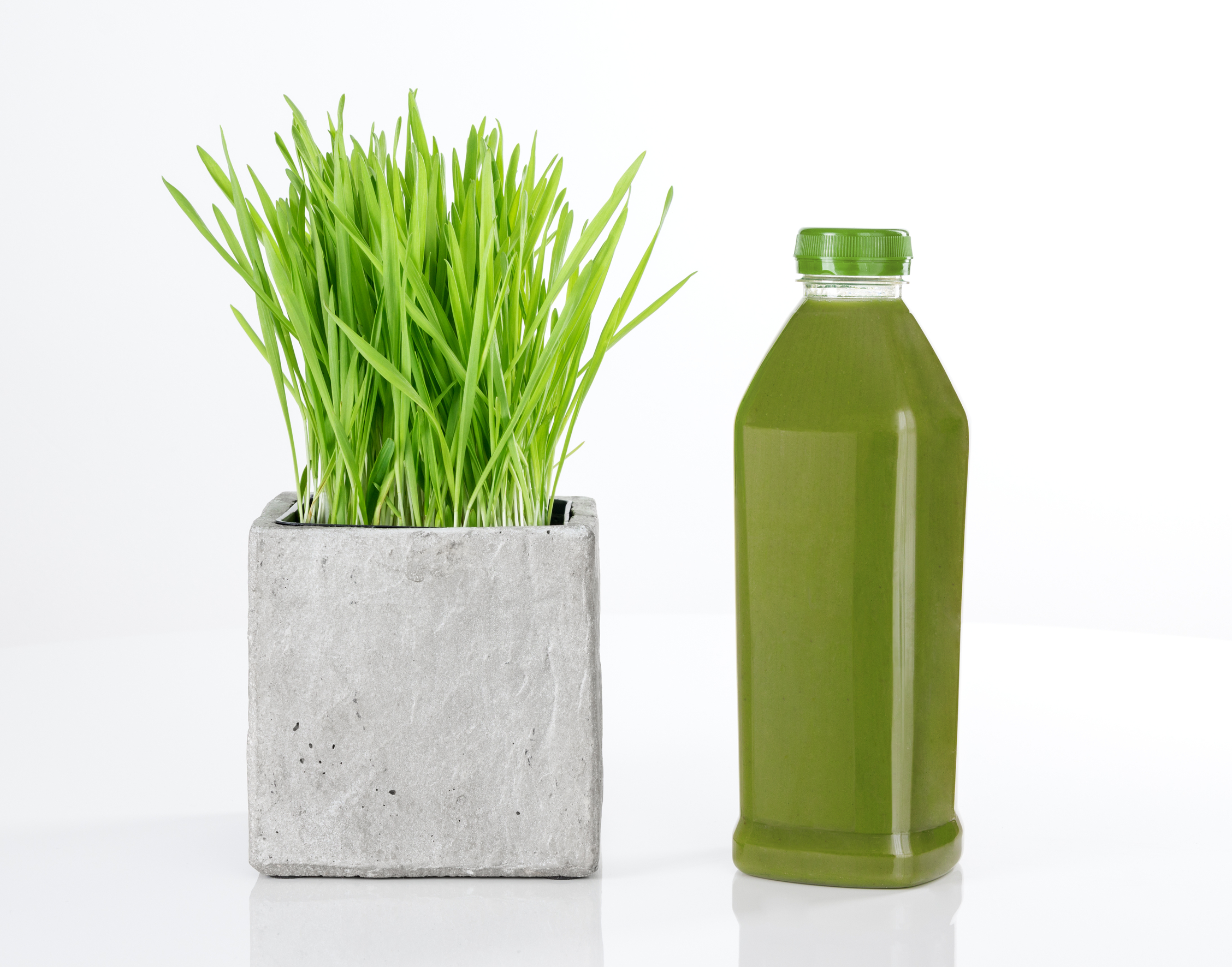 What is Wheatgrass?