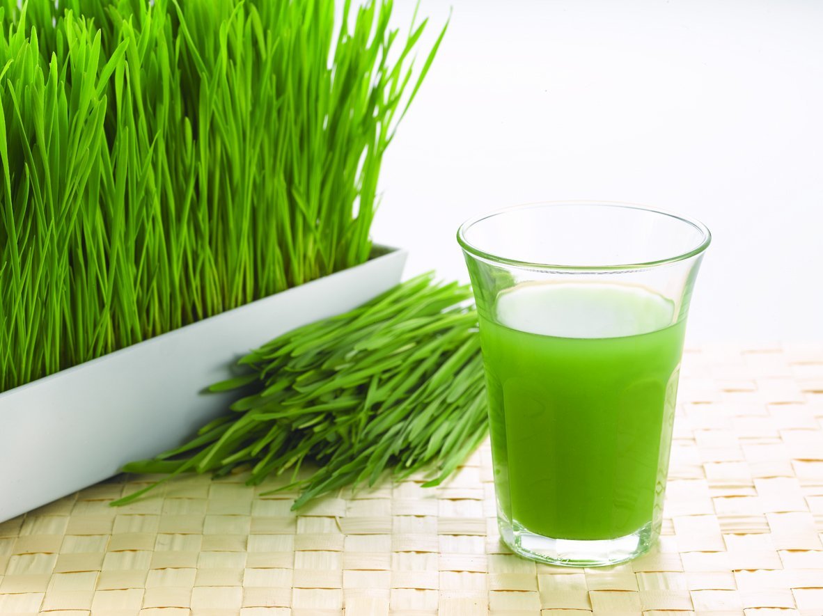 Healthy Components of Wheatgrass