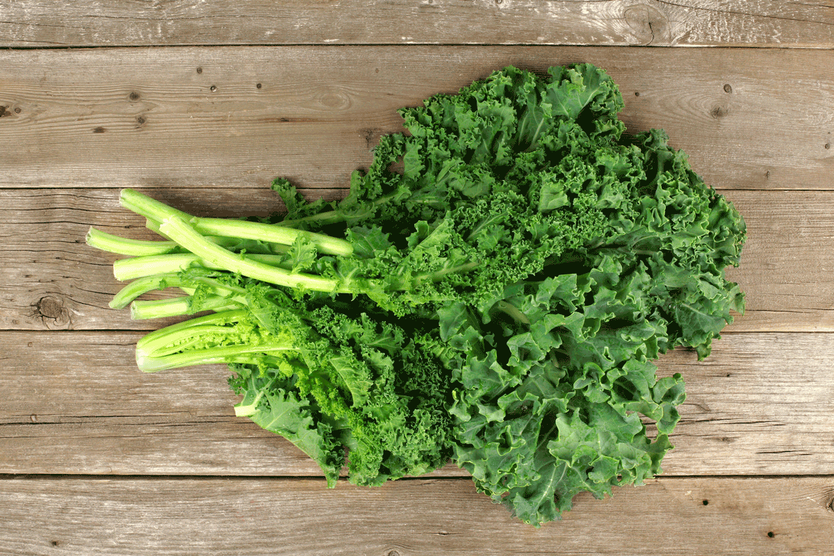 healthy benefits of kale juice - healthy juicer