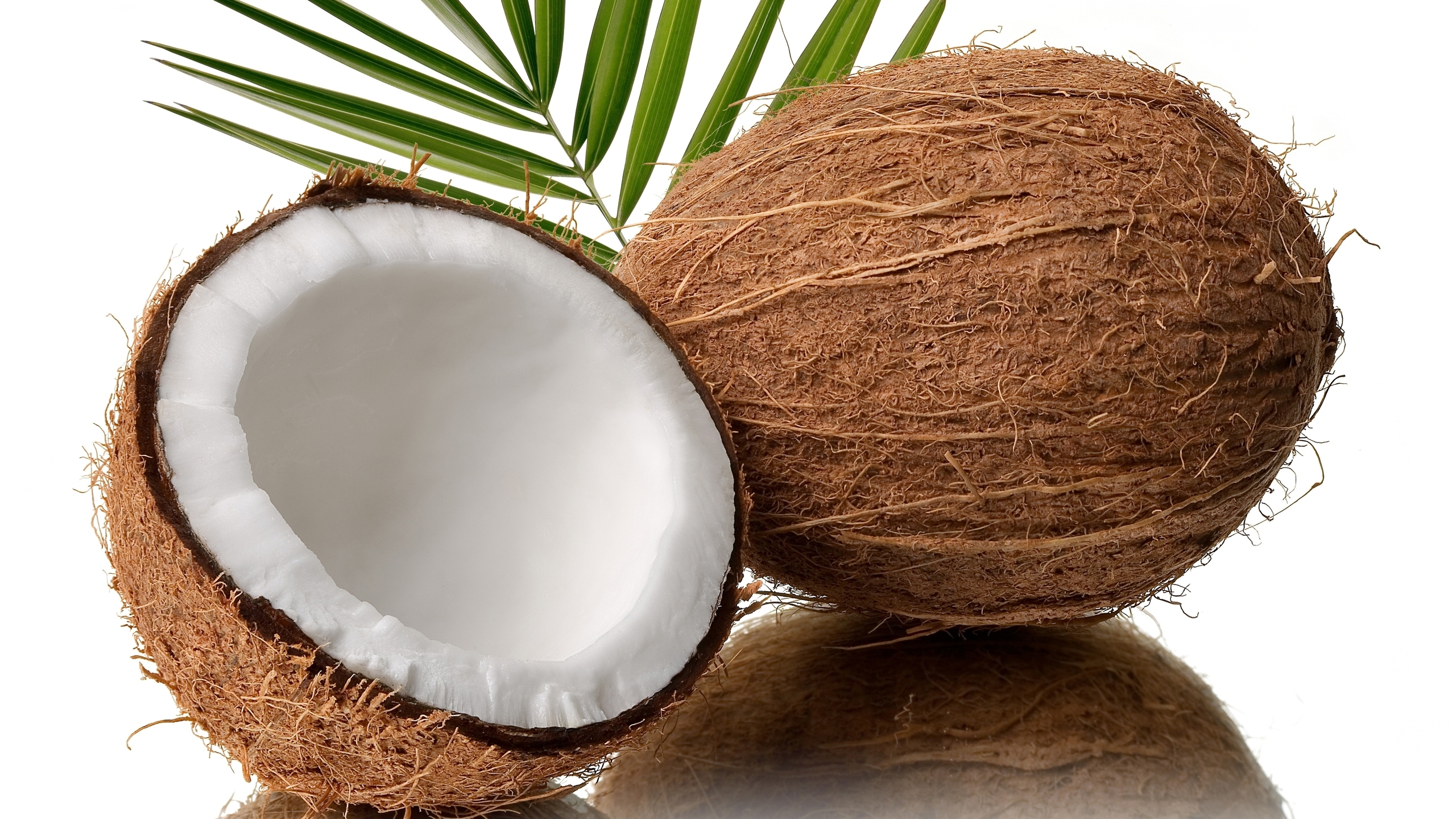 Coconut and Wheatgrass Juice Smoothies