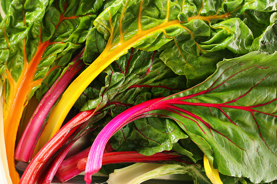 Health Benefits Of Swiss Chard Healthy Juicer