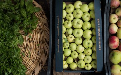 free apple juice recipes