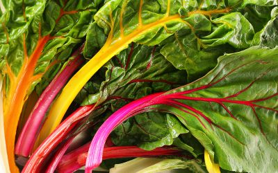 Swiss Chard Benefits